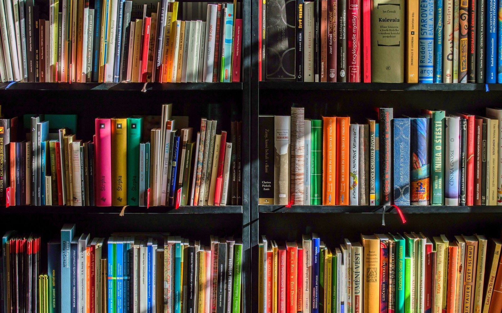 Rows of colorful book spines packed tightly on dark wooden bookshelves