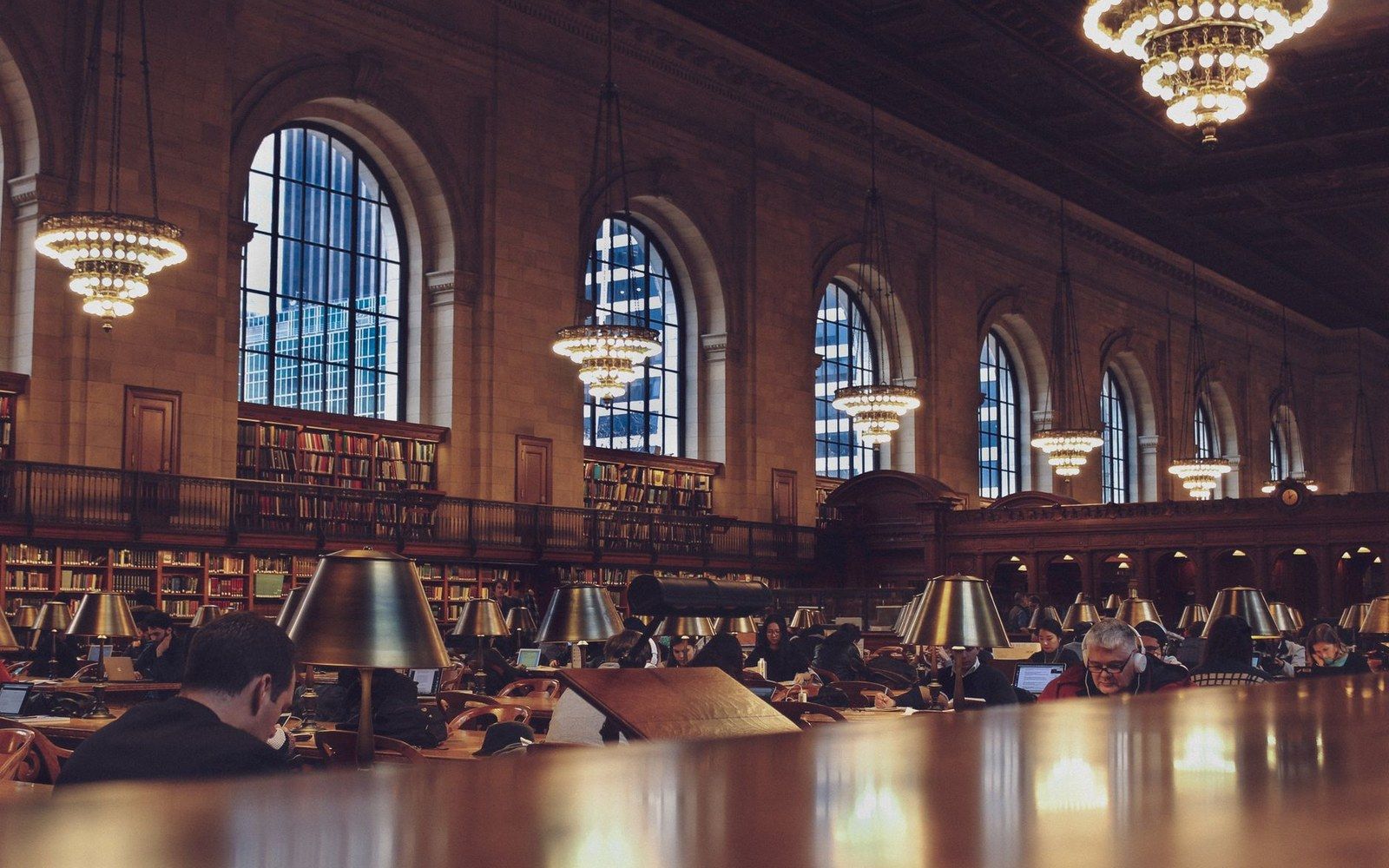 A reading-room interior with high shelves, a single adult figure seated at a table with a large open book, natural light from tall windows